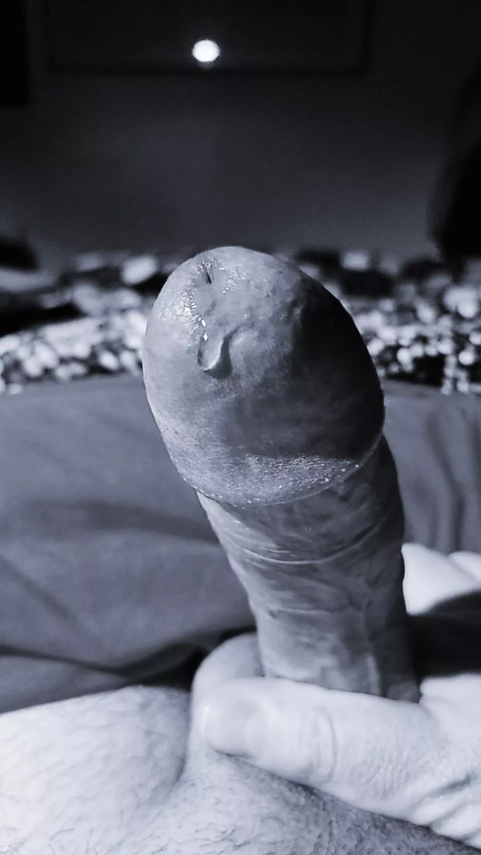 Hope you like it posted by Severin-99