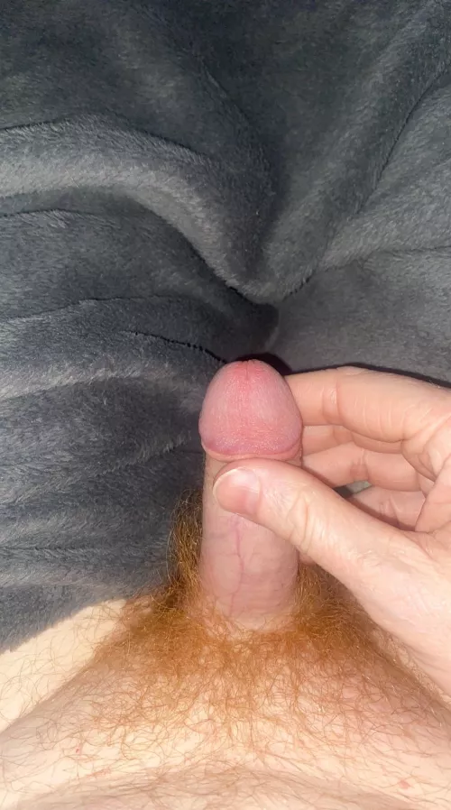 My softie. Should I shave or not? by GslmmRT