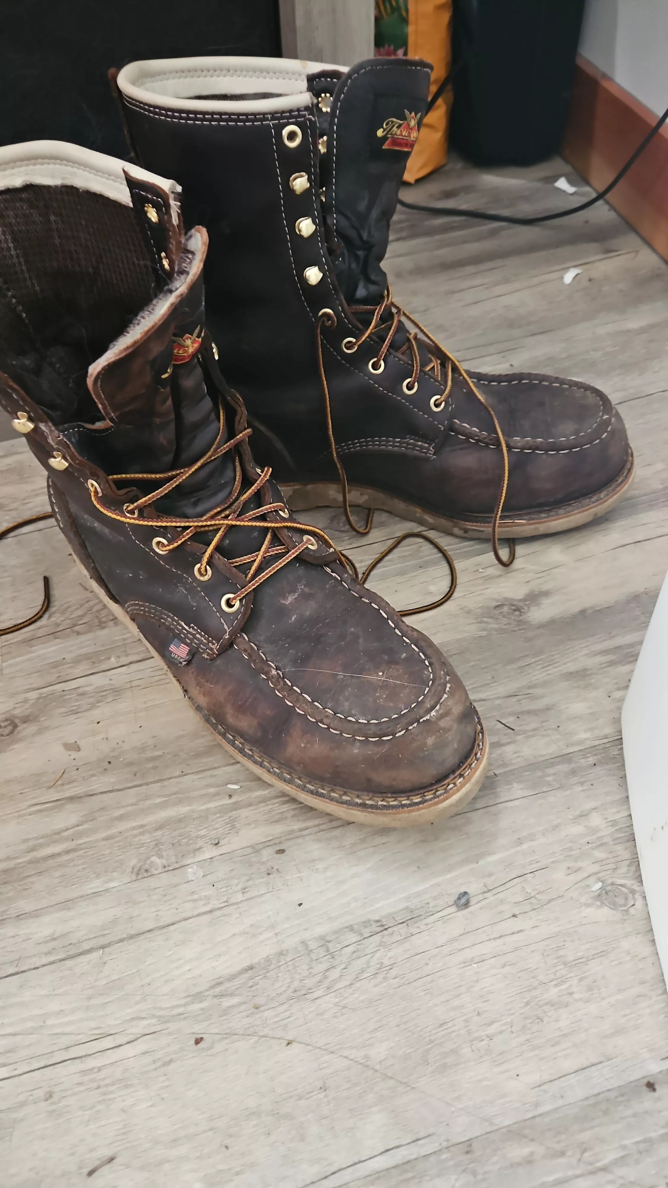 Need help! posted by ellanelson12