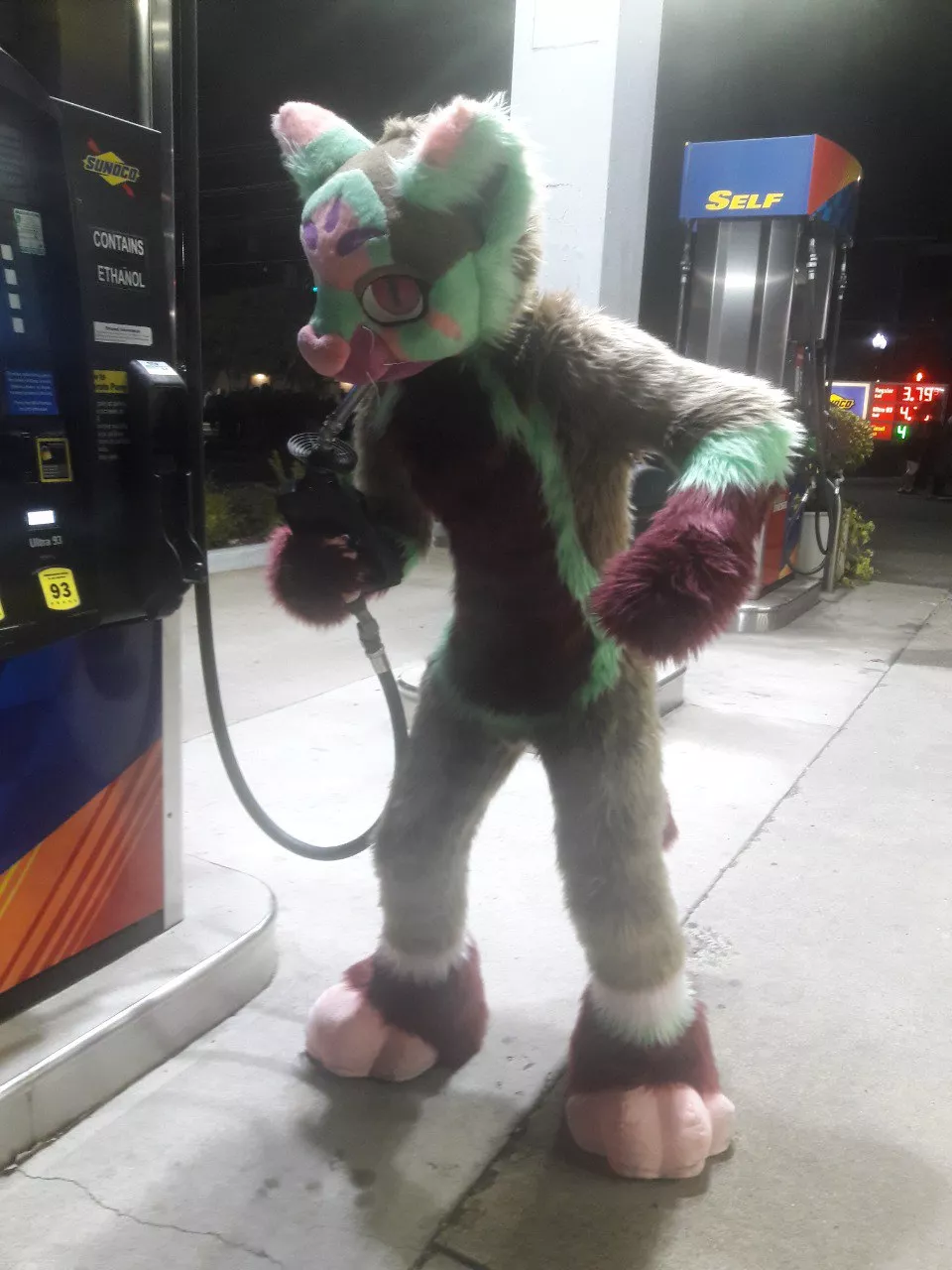 Sip posted by DumbDogMiles