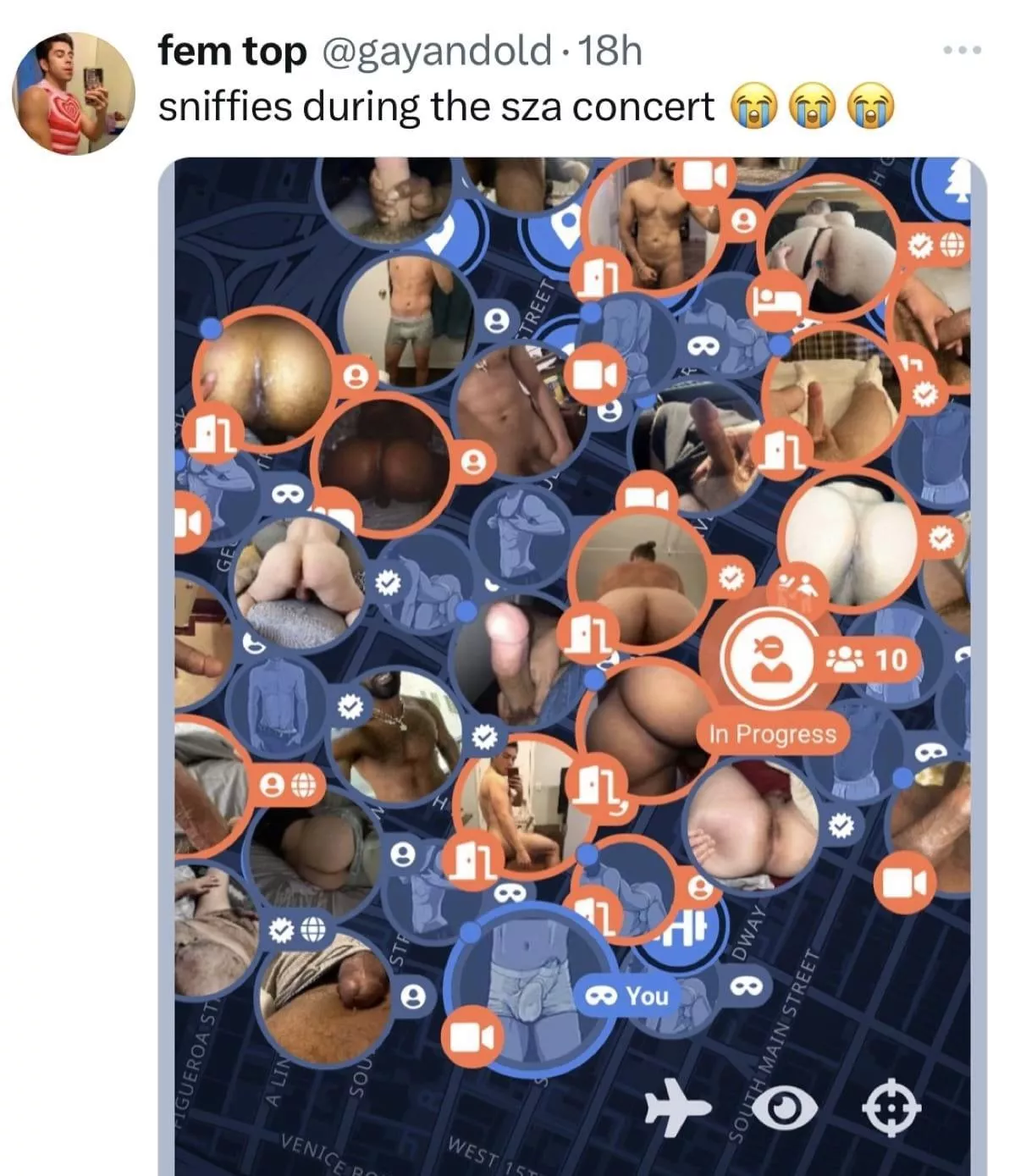 Sniffies during SZA concert posted by sanandrios