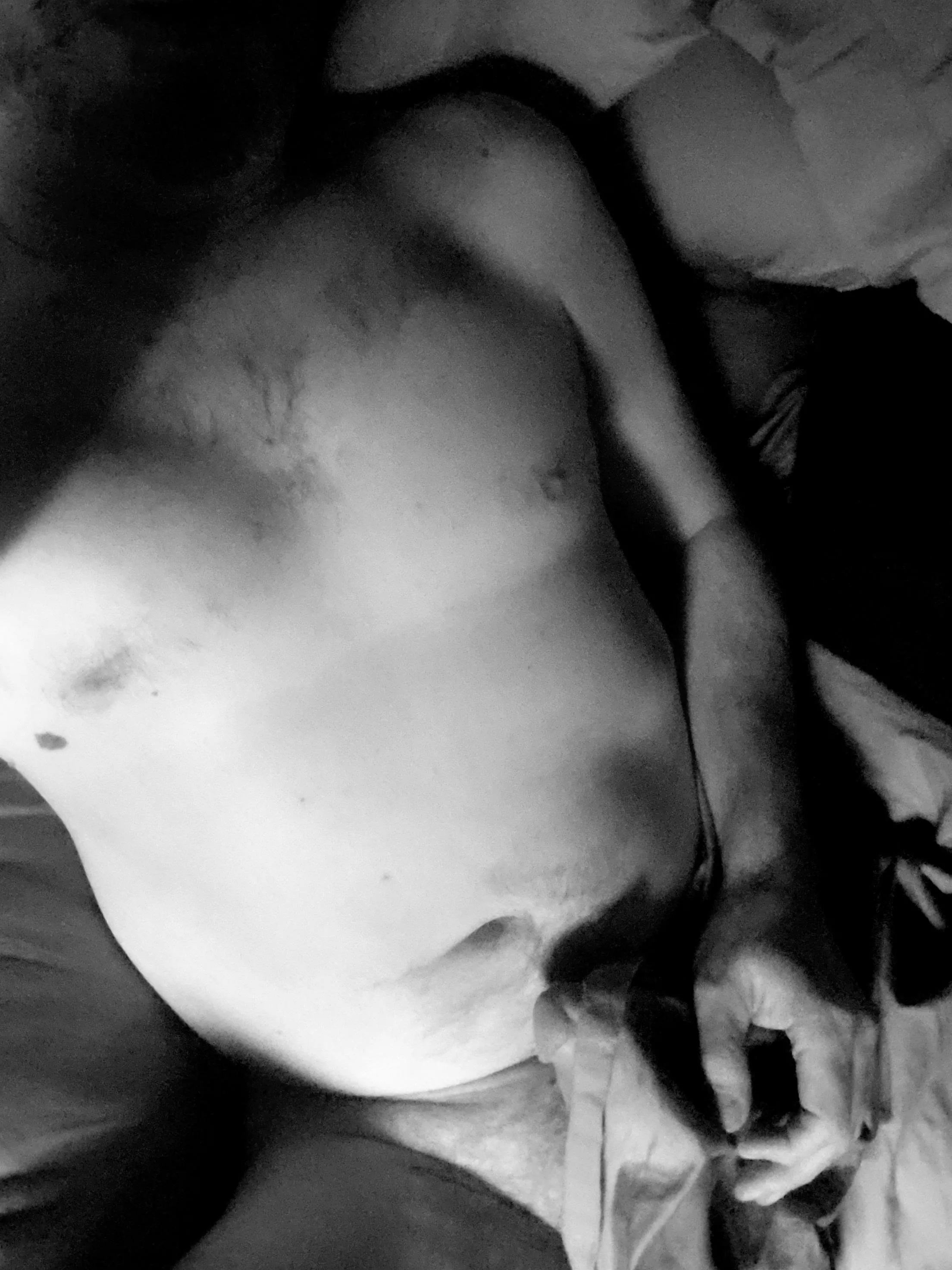 Soft bellied dads go wild too. posted by thrownmtn