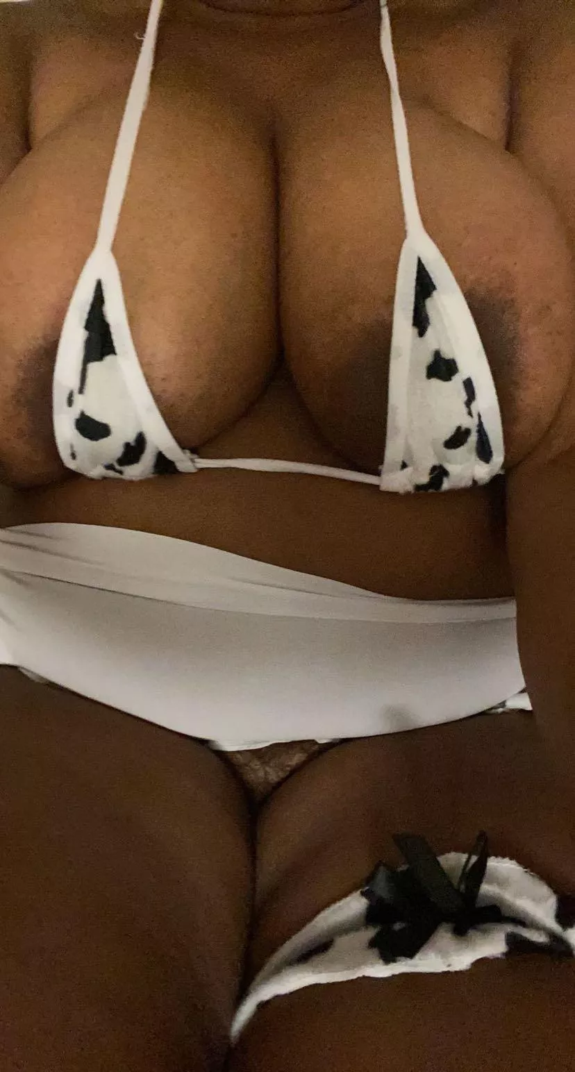 23F Baby Hucow wants to play! posted by Lionclaw9991