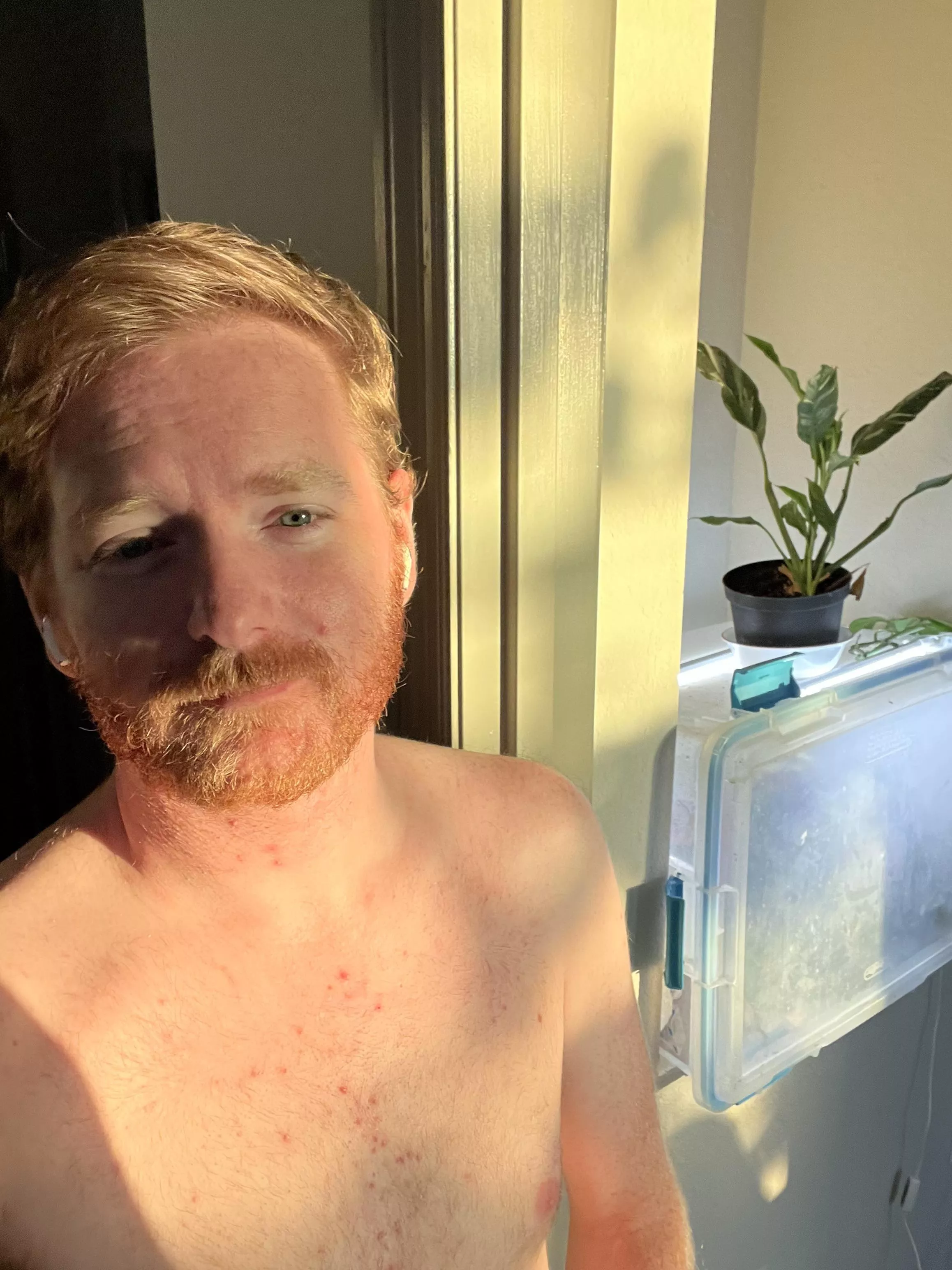 32: I finally caught that sunrise glow pic today. posted by dillydiffrenbacia