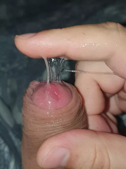 A dick this size is not good for much, unless you know how to appreciate an endless stream of precum 😋 by Honey__Dick