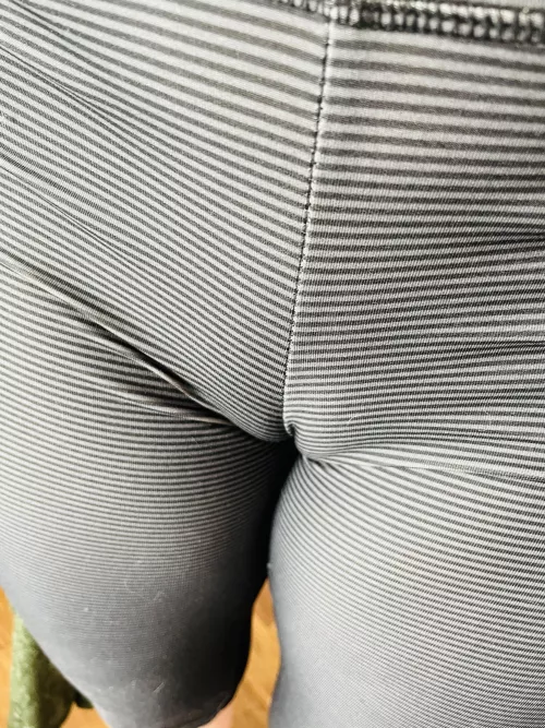 Are the stripestoo distracting for you to enjoy the view?? 🤭 by Curious_Contact2002