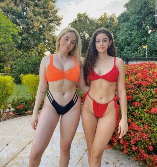 Blonde or Brunette? by Mountain-Goal-1093