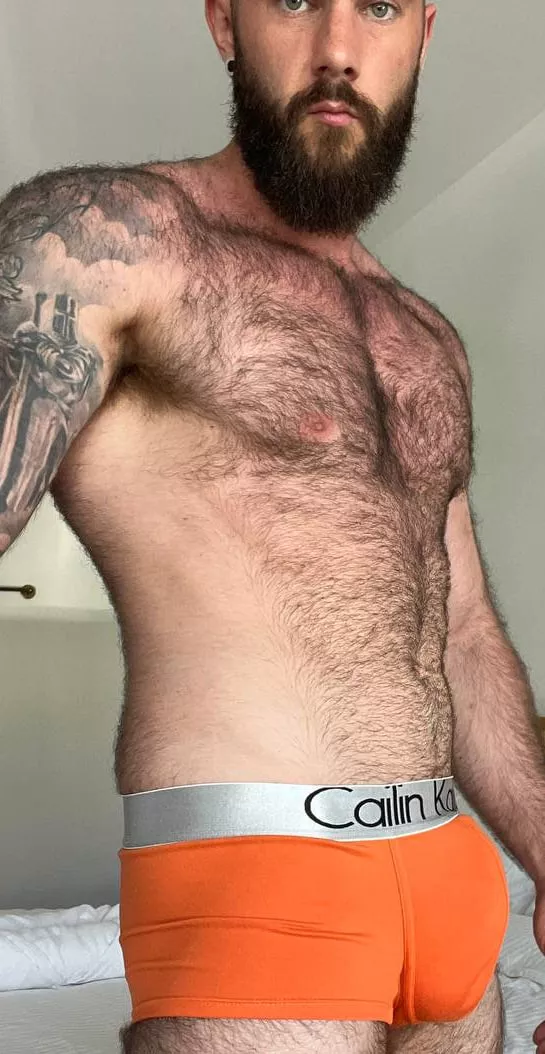 Don’t hold back on my pits. It’s just you and I in this room. posted by bwarren106