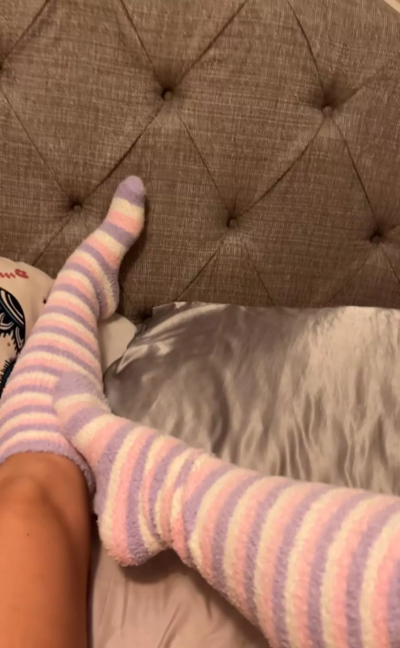 Fuzzies in bed posted by penelopes_nectar