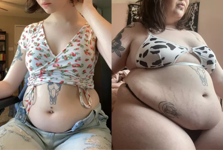 How it started 👉 how it’s going by HeftyDoggy