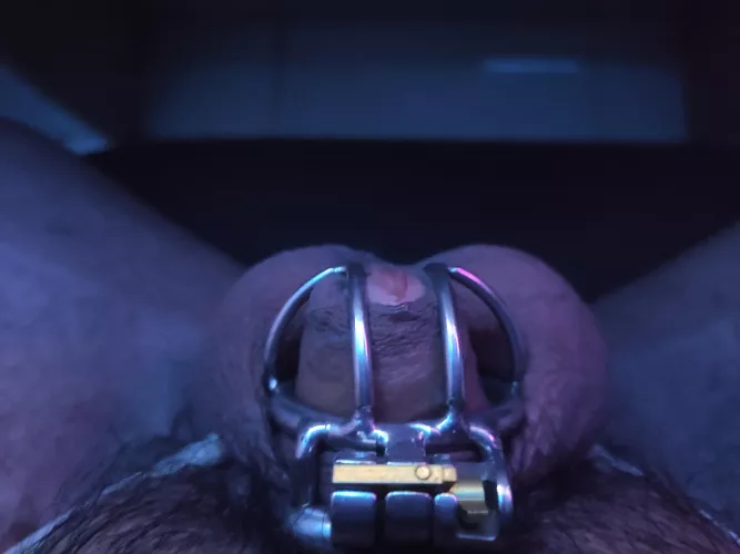 i guess I need a smaller cage at this point by Gjinn2912