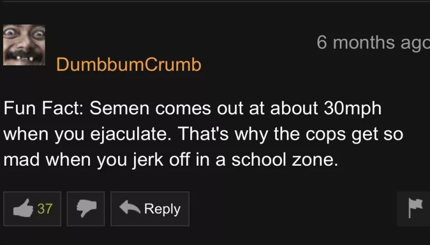 Oh, so that's why I got arrested last week! by holozoicpriapus37