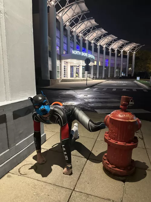 Puppy had to mark his territory! by PupPatch333