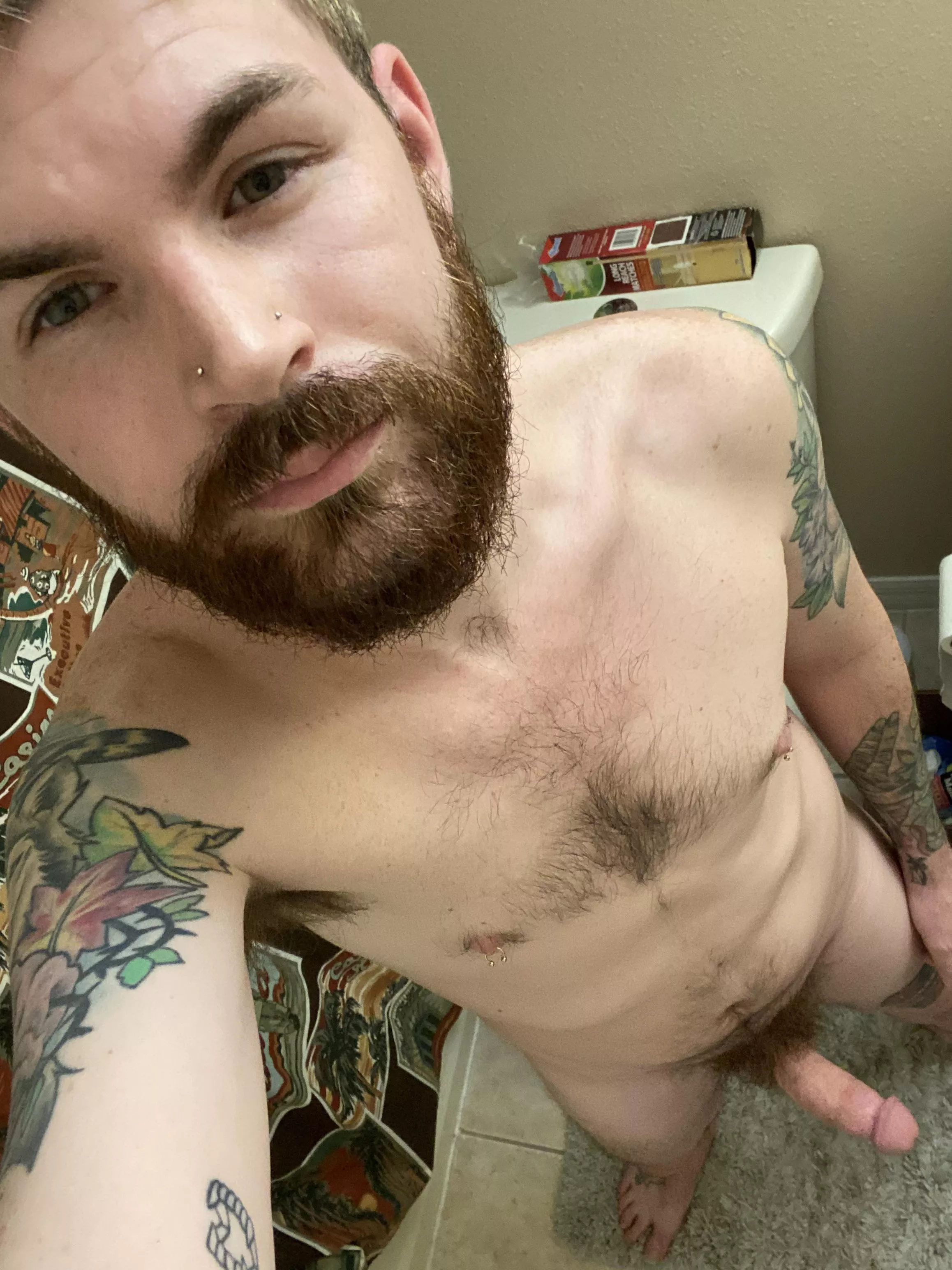 see anything you like? posted by jekyll_jacob