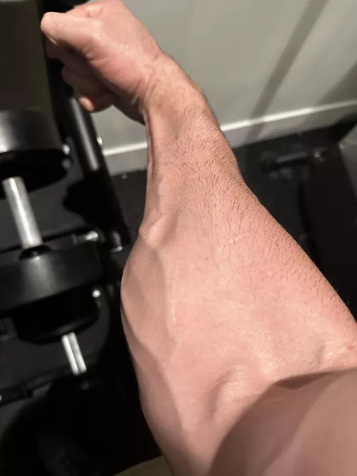 Thought you might appreciate this 😌 by Troy_Light_