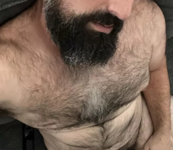 Who is furrier? You or me? by neverthatclever