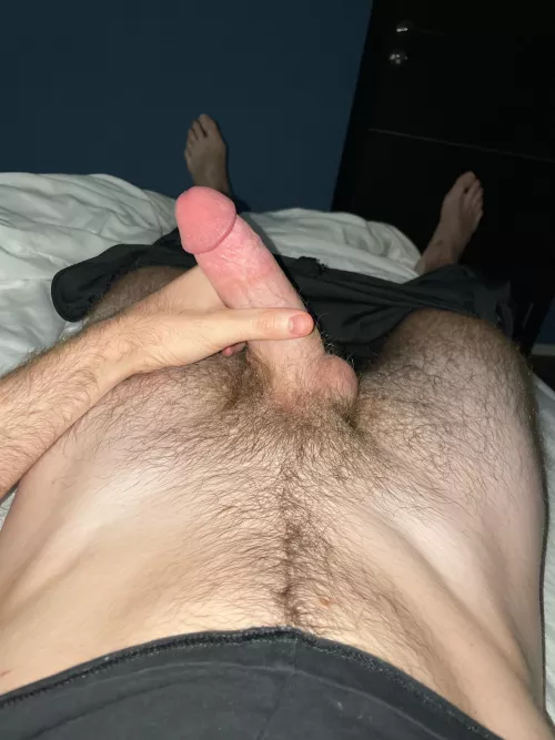 24 vers @czaretto4 by czaretto4