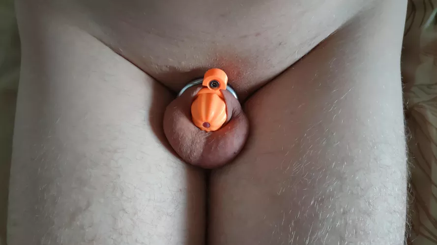 3D printed pumpkin cage. Great costume for Halloween 🎃 by VarIiliten