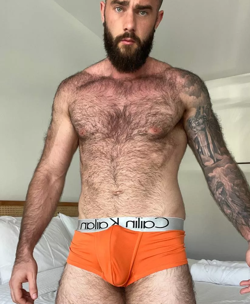 Be honest, Would you bite a working dad bulge? posted by bwarren106