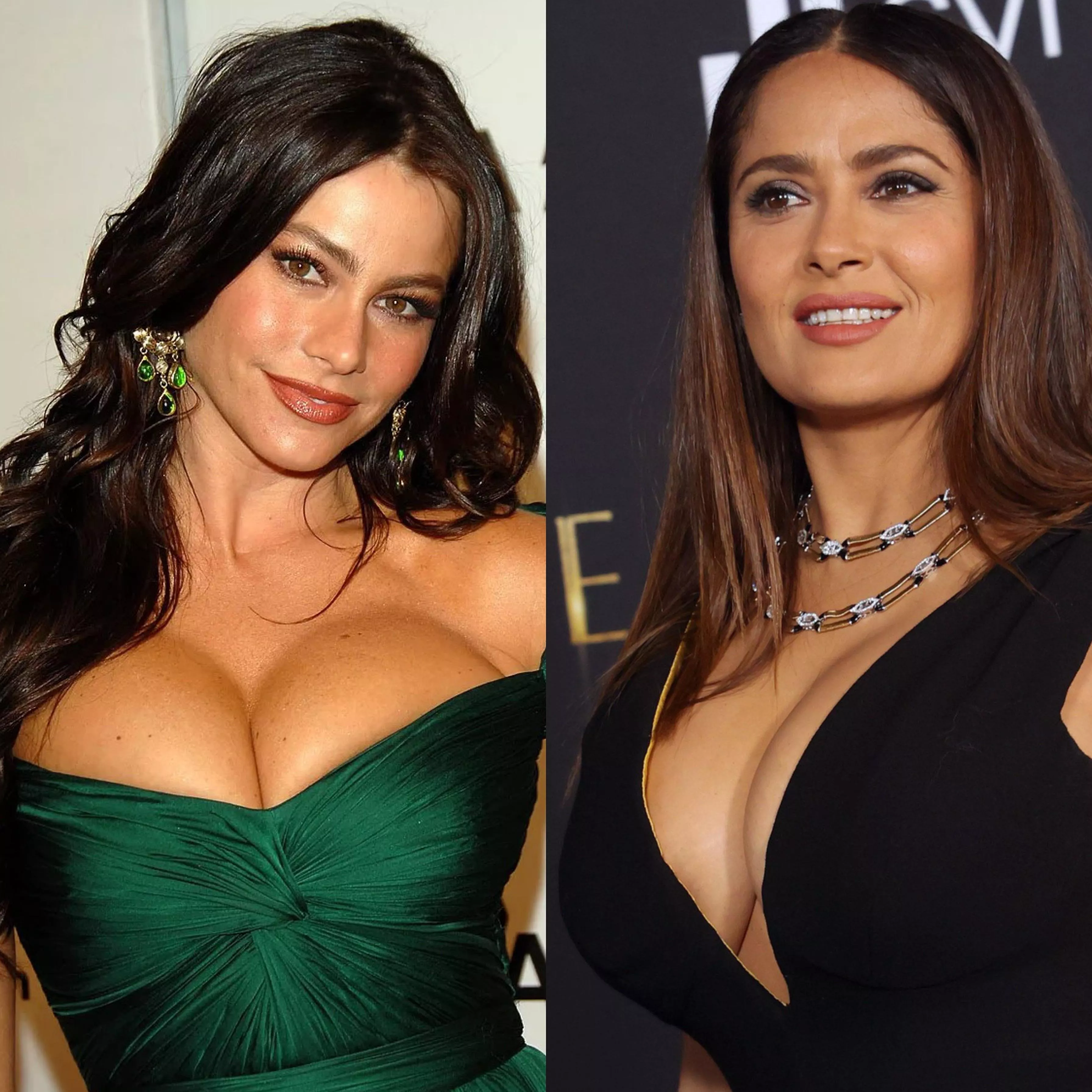 Better Latina MILF: Sophia Vergara vs Salma Hayek posted by Silent_Principle2457