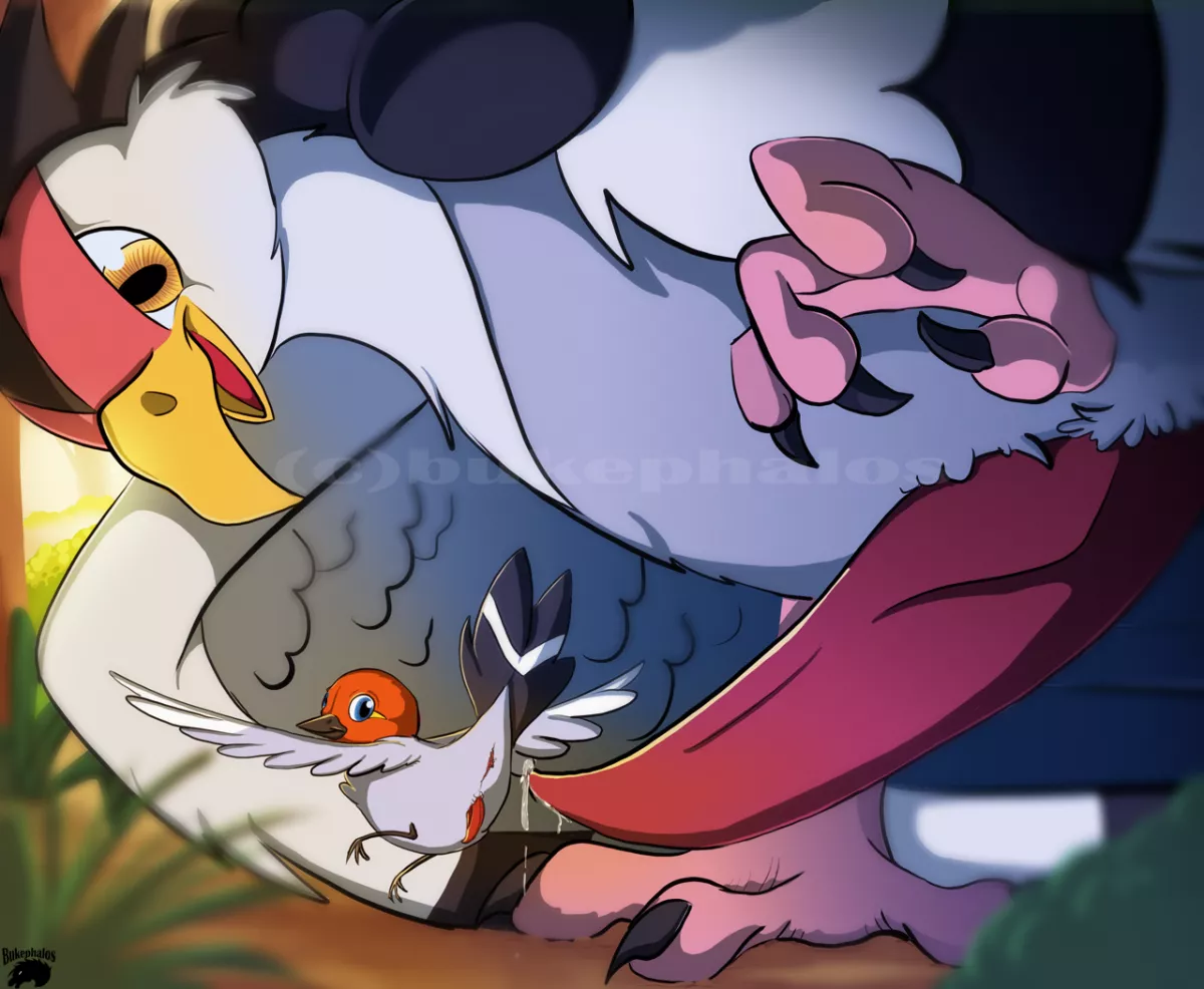 Catch them all challenge #661 - Fletchling (bukephalos) posted by Red_Gaymer