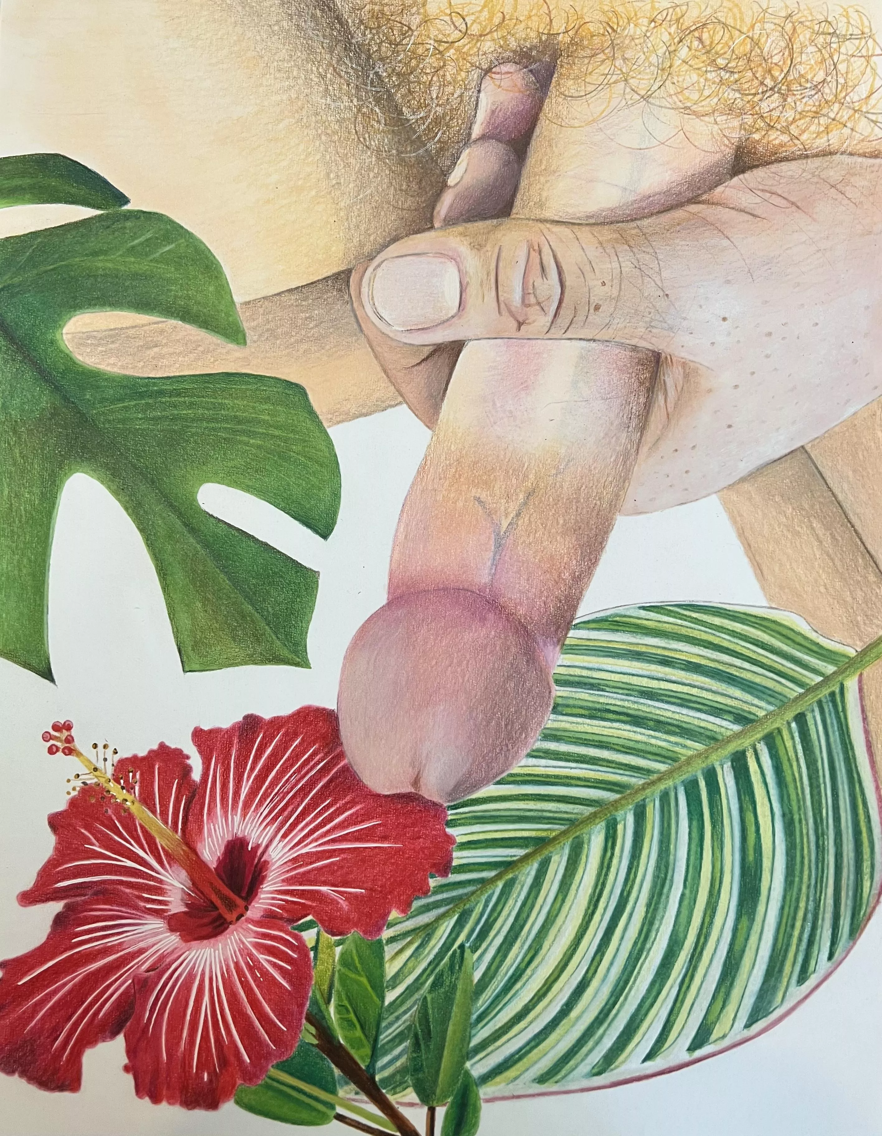 Drawing #13 posted by fortheloveofwillie