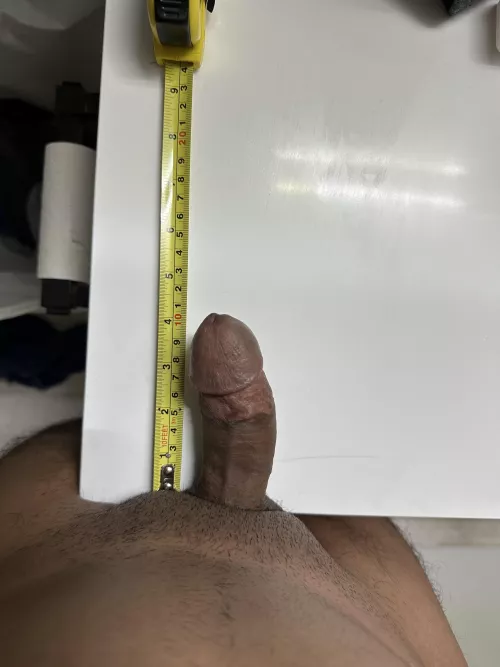 For reference by shabbybiggins