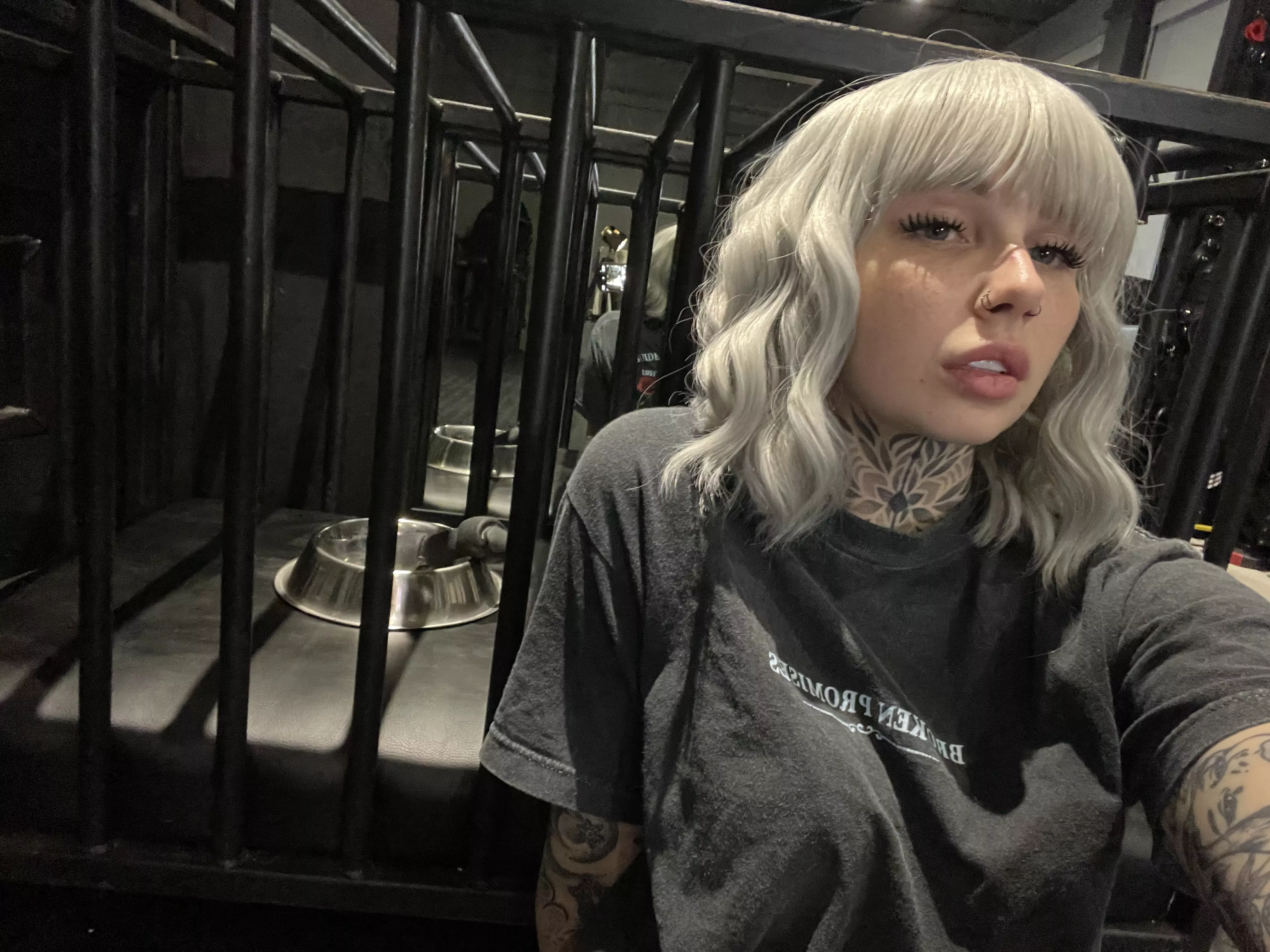 Here for your pleasure. posted by SGracelyn