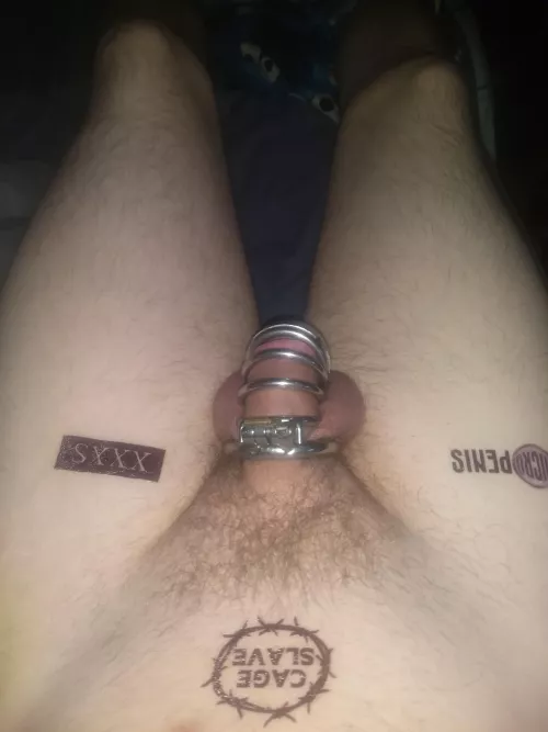 I think I need a smaller cage for my little clity who agrees by Western-Ice-556