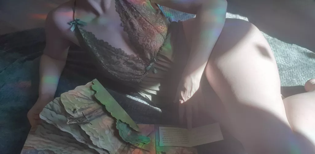 I wish there were more Stephen King pop-up books by LilyStFleur