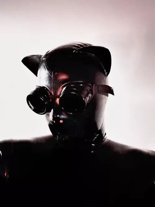 Latex by FemeboyLatex