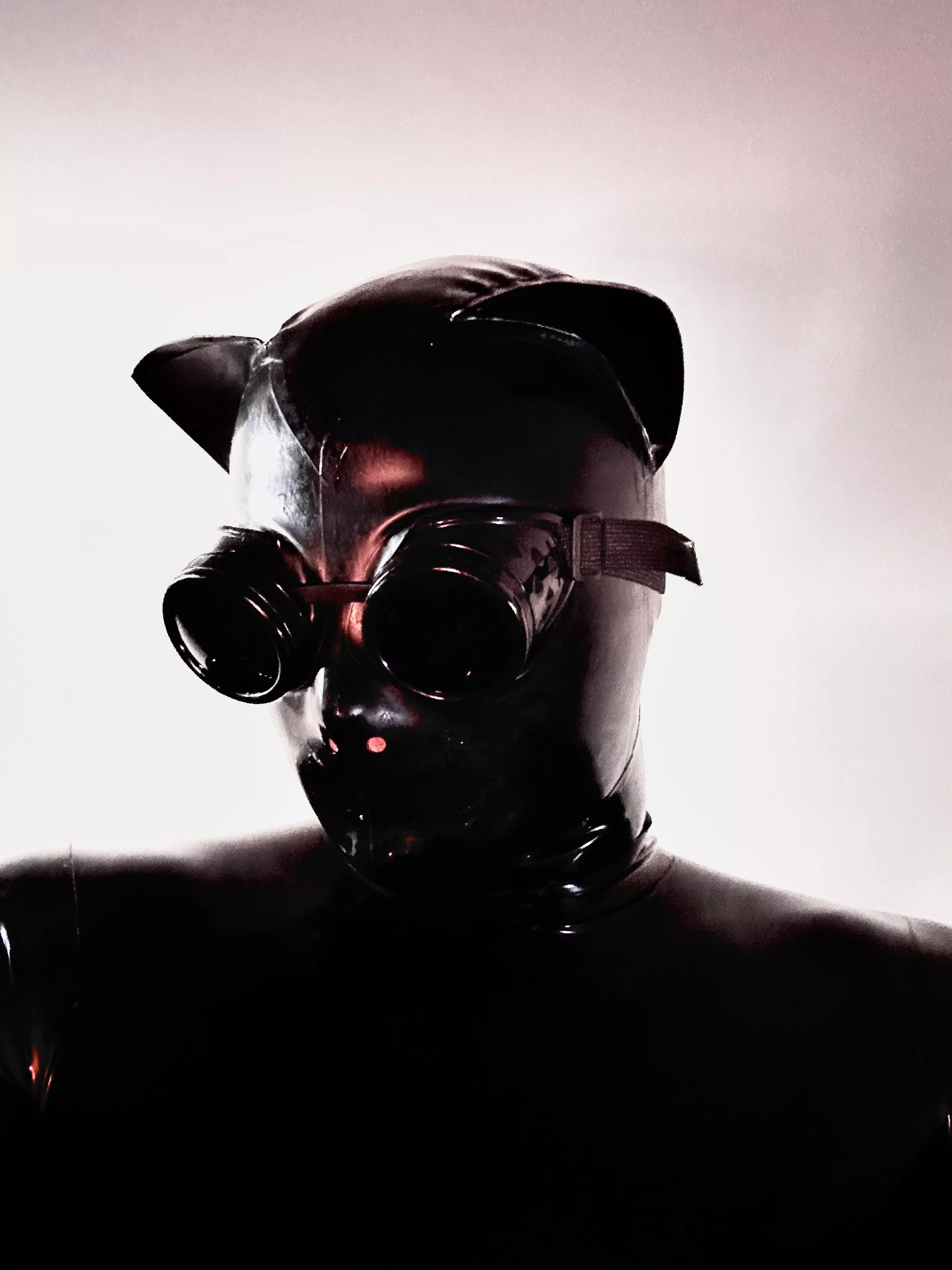 Latex posted by FemeboyLatex