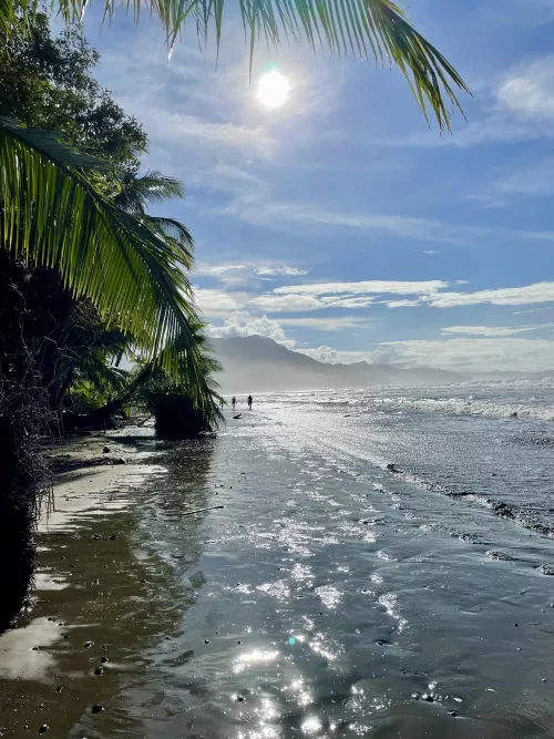 Morning in Uvita by m32020