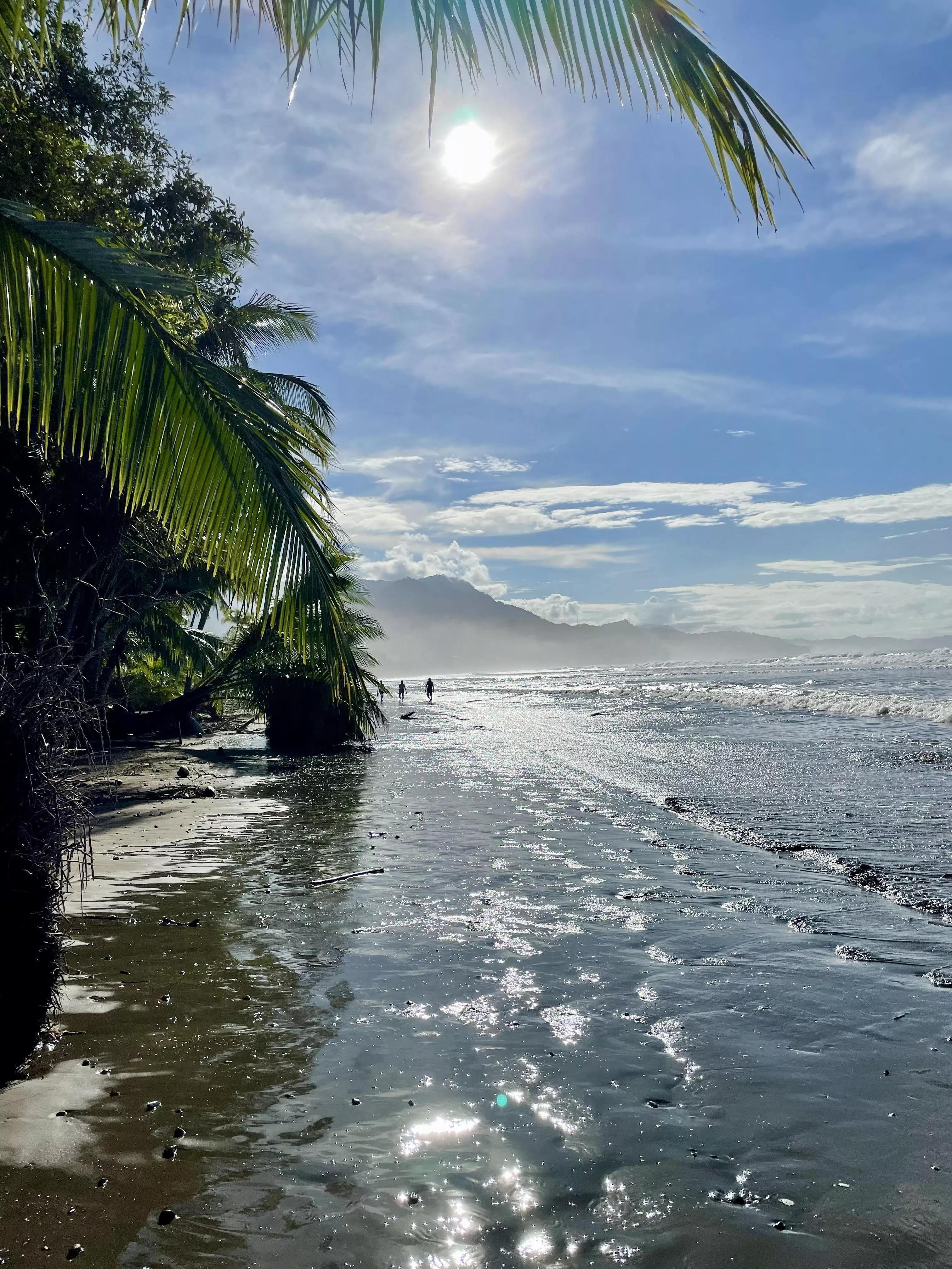 Morning in Uvita posted by m32020