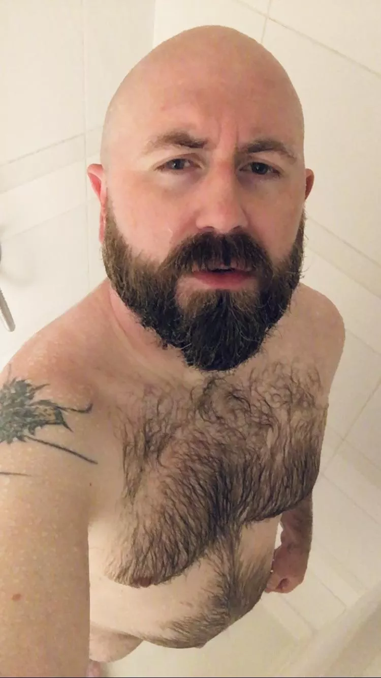 Soggy bottom boy posted by bothwaysopenjaws