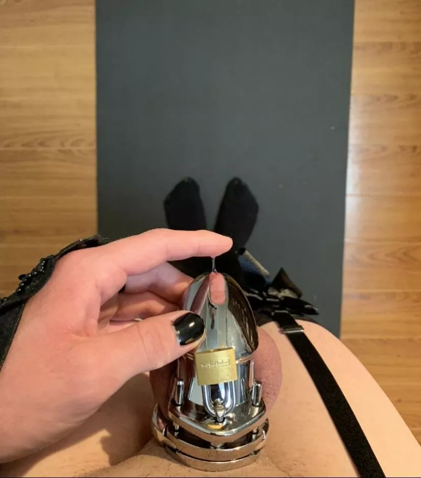 Starting to forget what being hard feels like after a month posted by Bi_CD_23