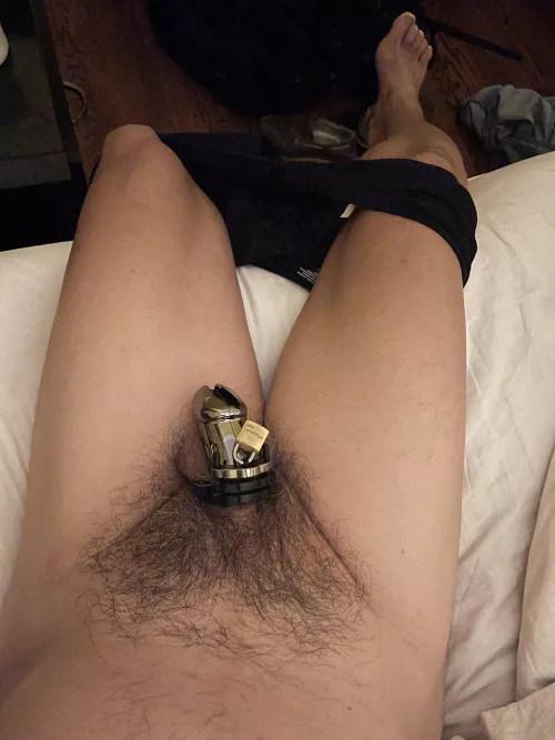 Surrender by mycologist999