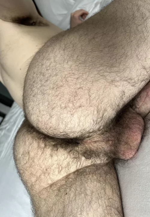 25 masc DL Arab bro with a thick furry ass. DMs are open by FitBrick2783