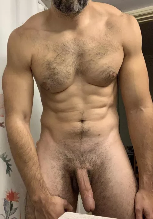 38m fit bull, NYC area… let’s have fun! by d-list-terry