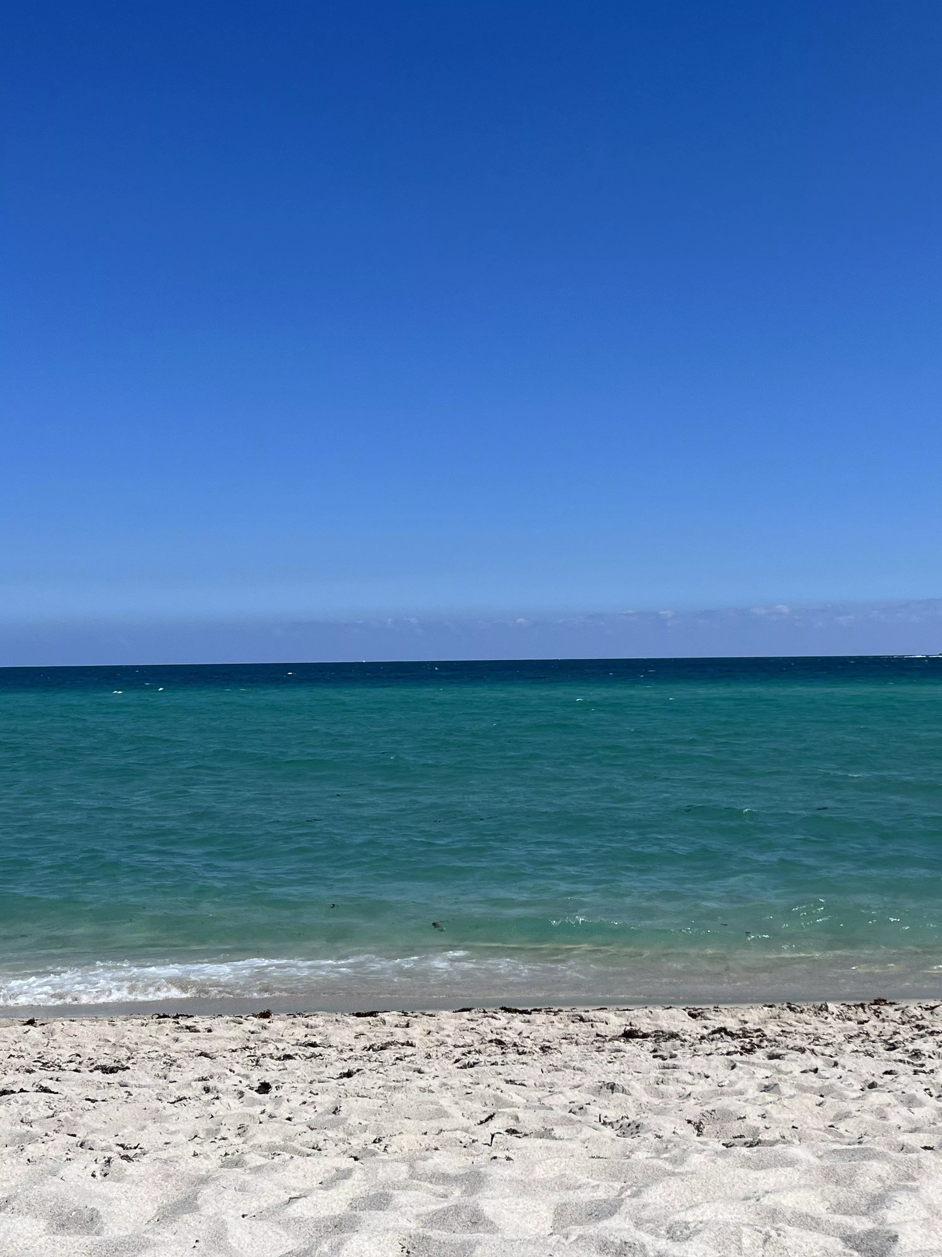 Fort Lauderdale,Fl posted by No_Success_1080