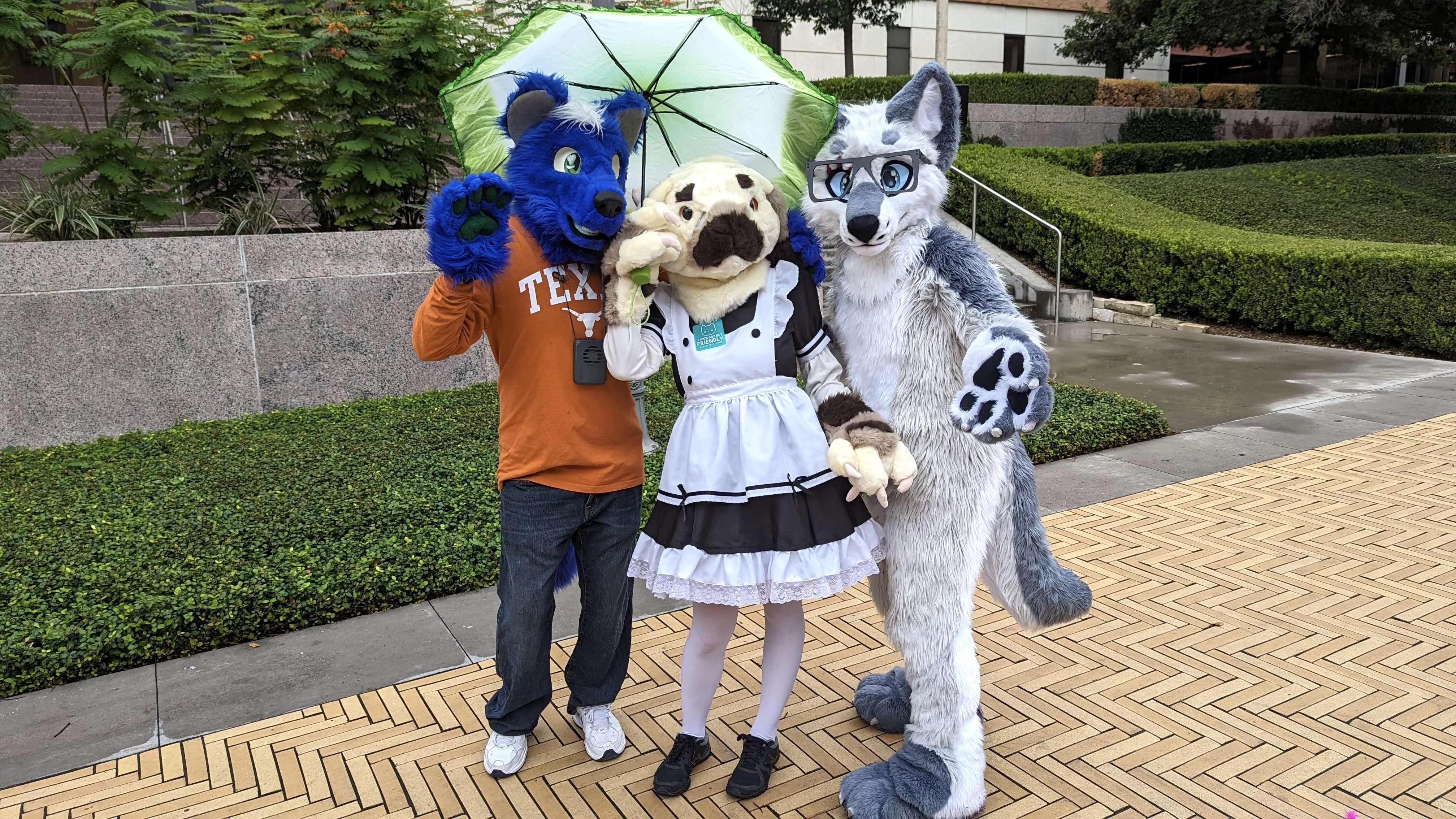 Had a great time fursuiting at my college’s Halloween event! posted by AceroTheDragon