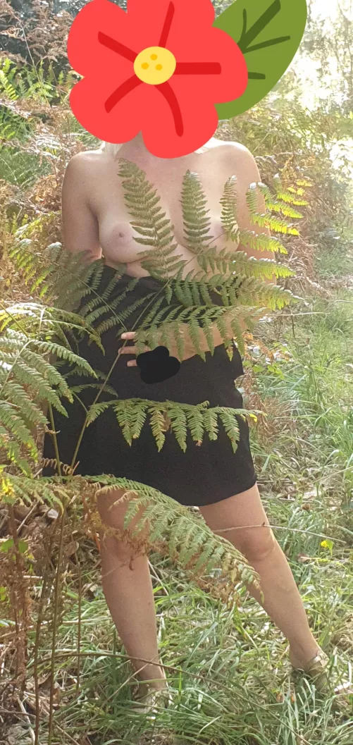 How old do you give them? by sabaideekhlap