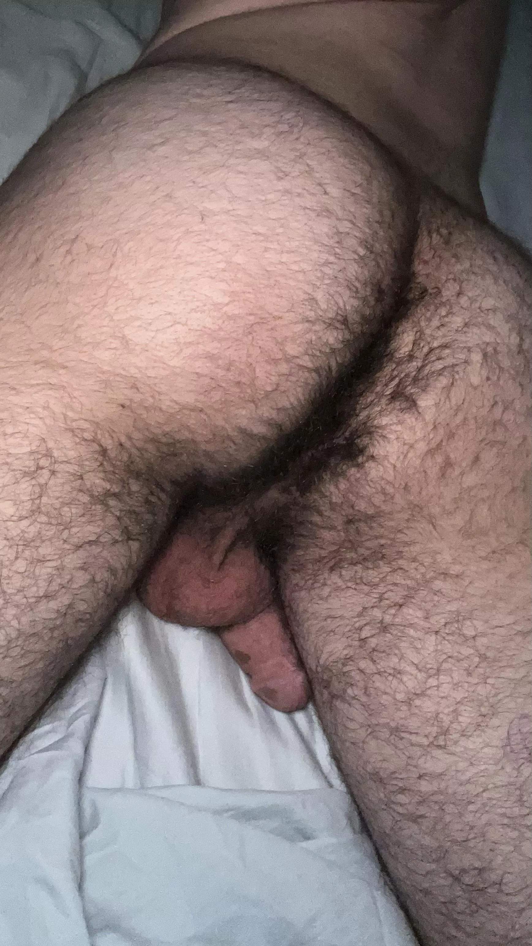 How’s my hairy teen ass? posted by Horny_fly