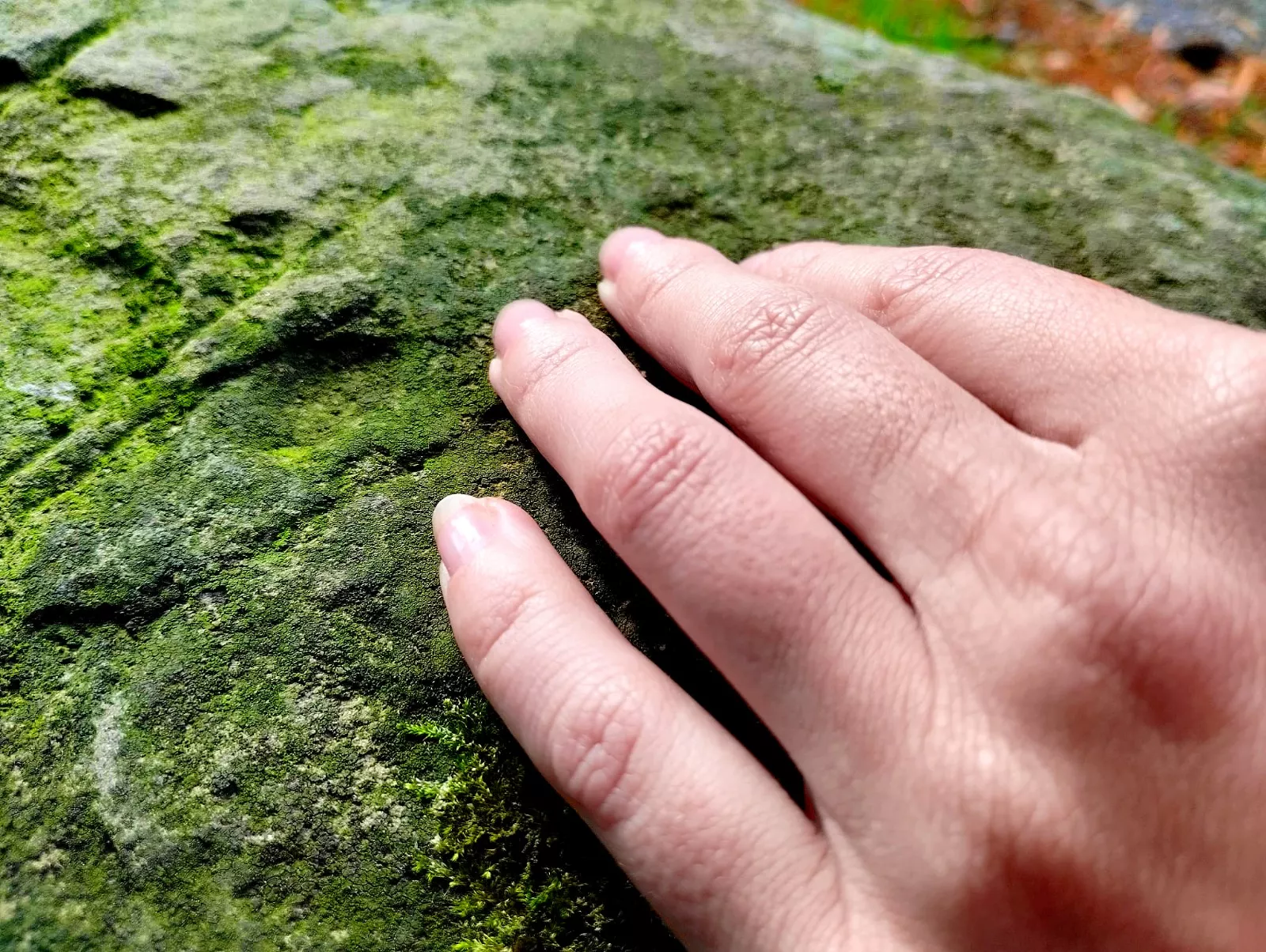 I like big rocks posted by Orag16