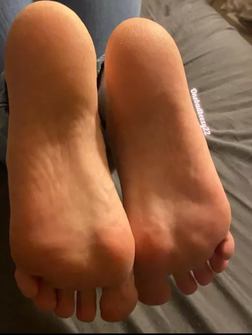 I need to know one thing… are you sniffing or licking them first?? by OneBadBeezy