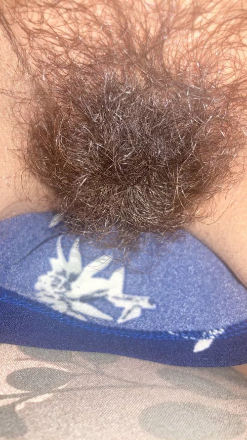 I'd say my bush is pretty full by lickedyslit