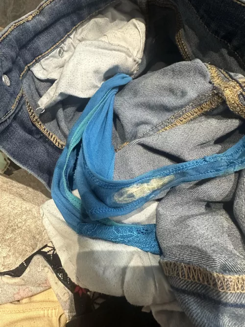 my wife's panties I think she is in heat by Thick-End-5568