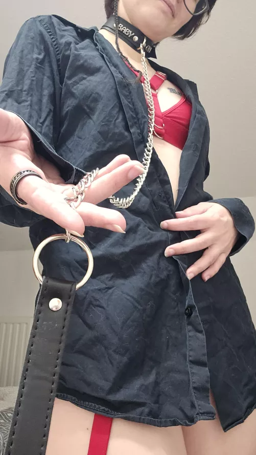 take my leash and see what I'm hiding by troulania