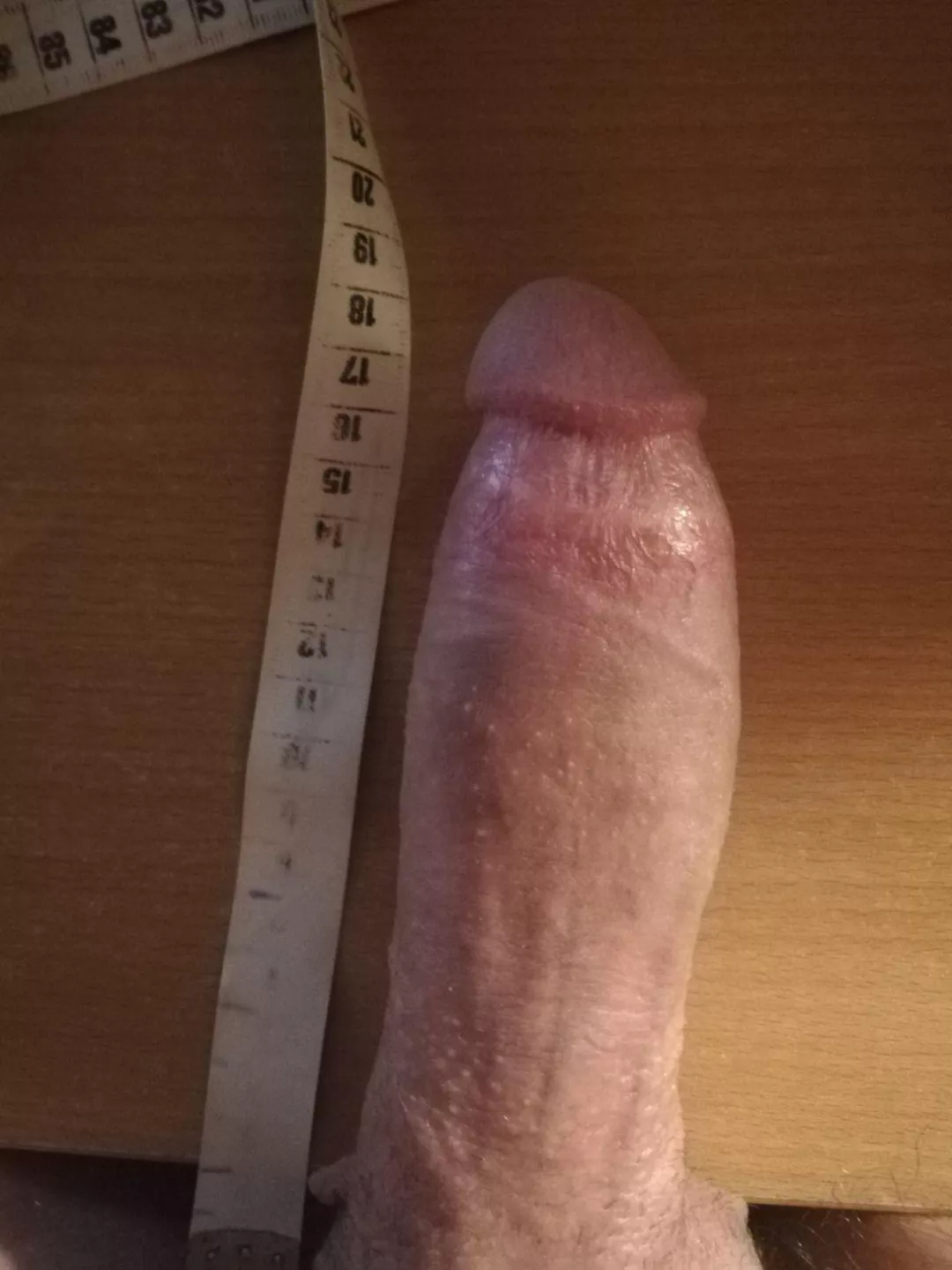 25M EU bull Can I streech you out posted by lazybones25