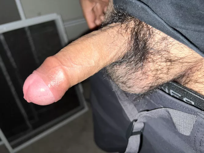 As big as it gets by Terpene_dreammz